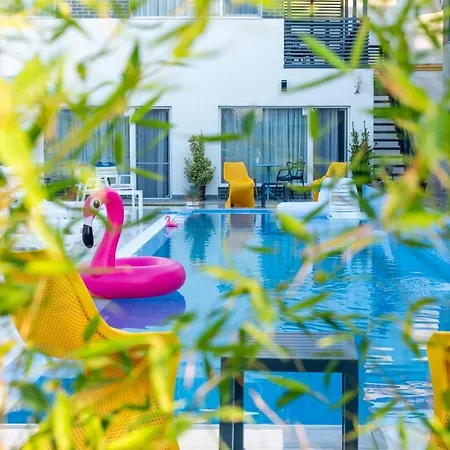 Bunga Bunga Mamaia Nord Guest house Navodari